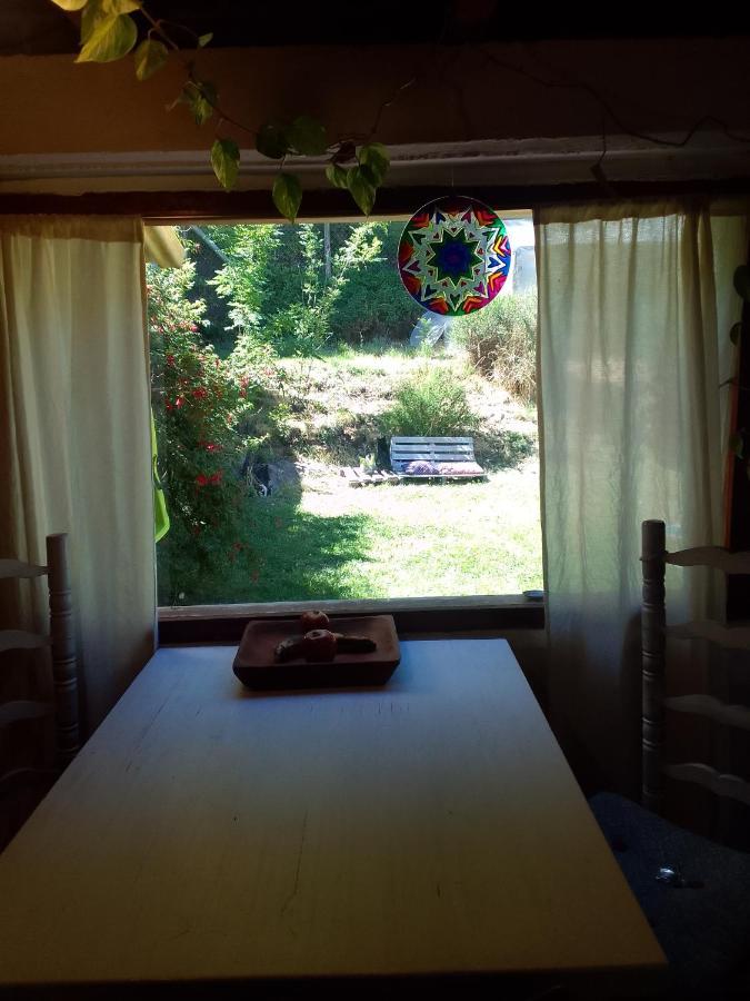 Casita En La Montana Apartment San Martin de los Andes Ngoại thất bức ảnh